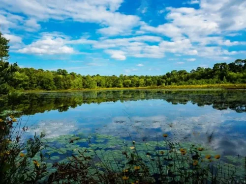 Black Run Preserve Evesham NJ