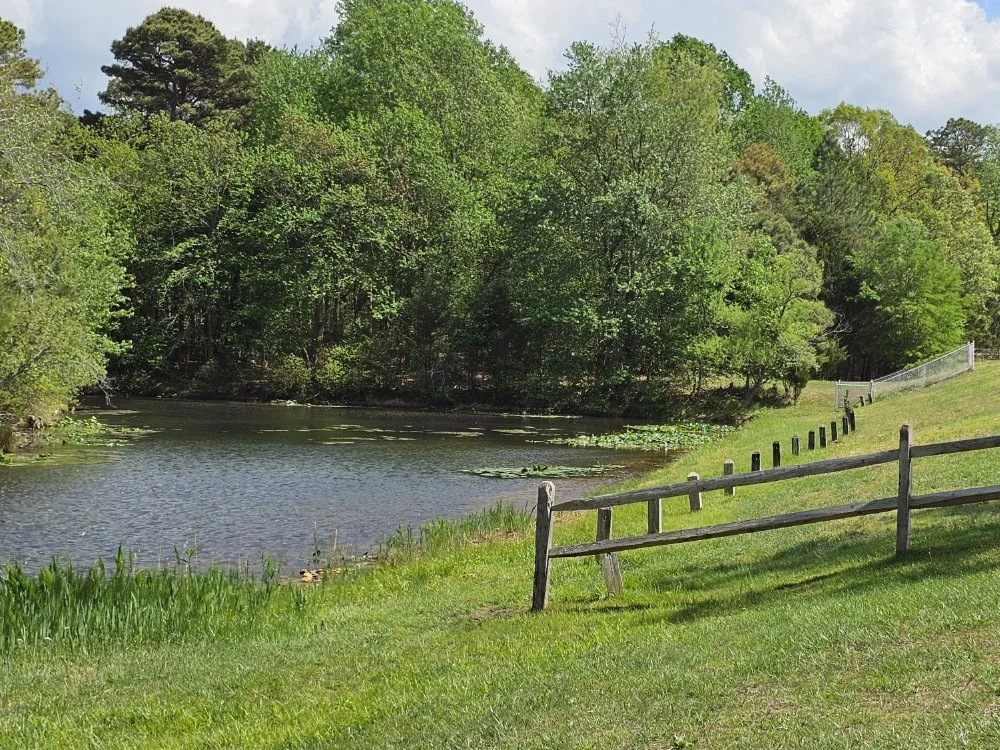 Newton Creek Trail Haddonfield Borough