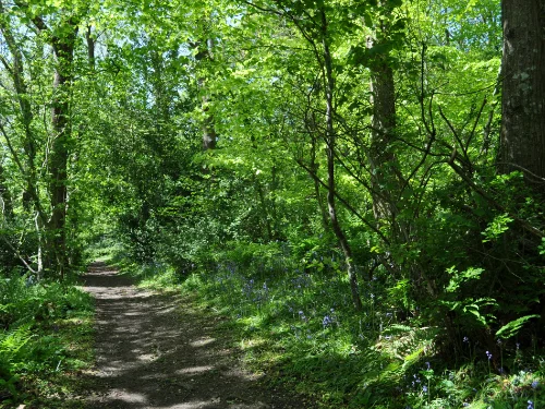 Medford Township Walking Trails